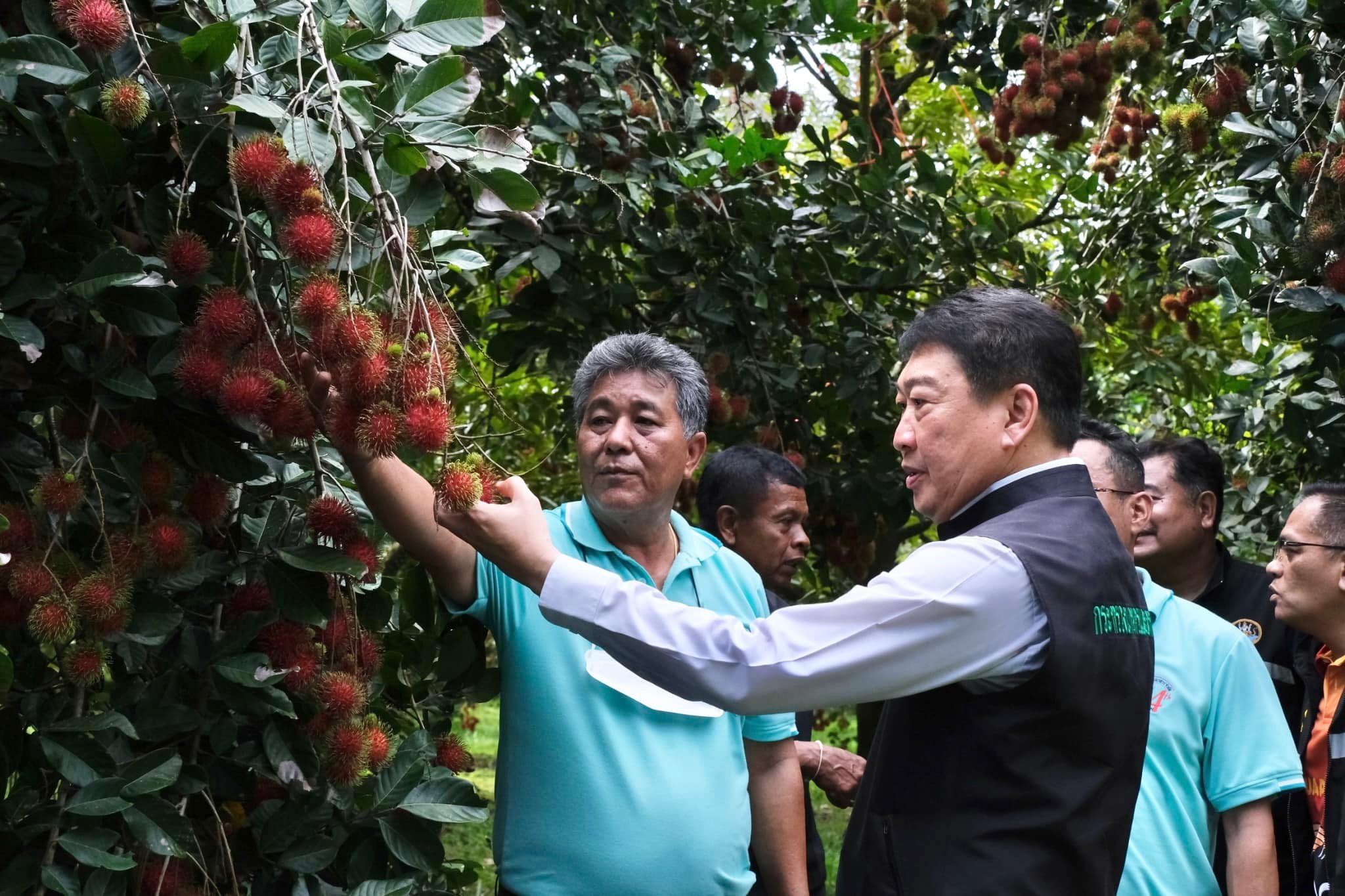 กรมส่งเสริมสหกรณ์ วางมาตรการรับมือผลผลิตผลไม้ปี 2568 พร้อมสนับสนุนรวบรวมและกระจายผลผลิตผ่านสหกรณ์ เพิ่มช่องทางการตลาดทั้งในและต่างประเทศ ขับเคลื่อนเศรษฐกิจฐานรากอย่างยั่งยืน 5 S 93765727