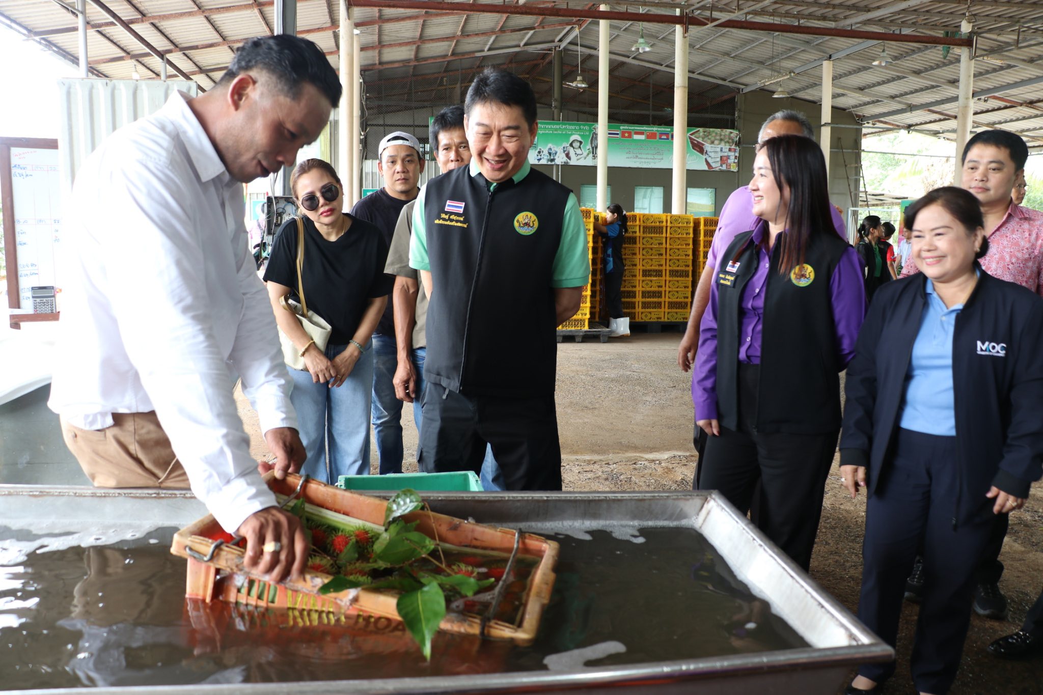 กรมส่งเสริมสหกรณ์ วางมาตรการรับมือผลผลิตผลไม้ปี 2568 พร้อมสนับสนุนรวบรวมและกระจายผลผลิตผ่านสหกรณ์ เพิ่มช่องทางการตลาดทั้งในและต่างประเทศ ขับเคลื่อนเศรษฐกิจฐานรากอย่างยั่งยืน 6 S 93765730