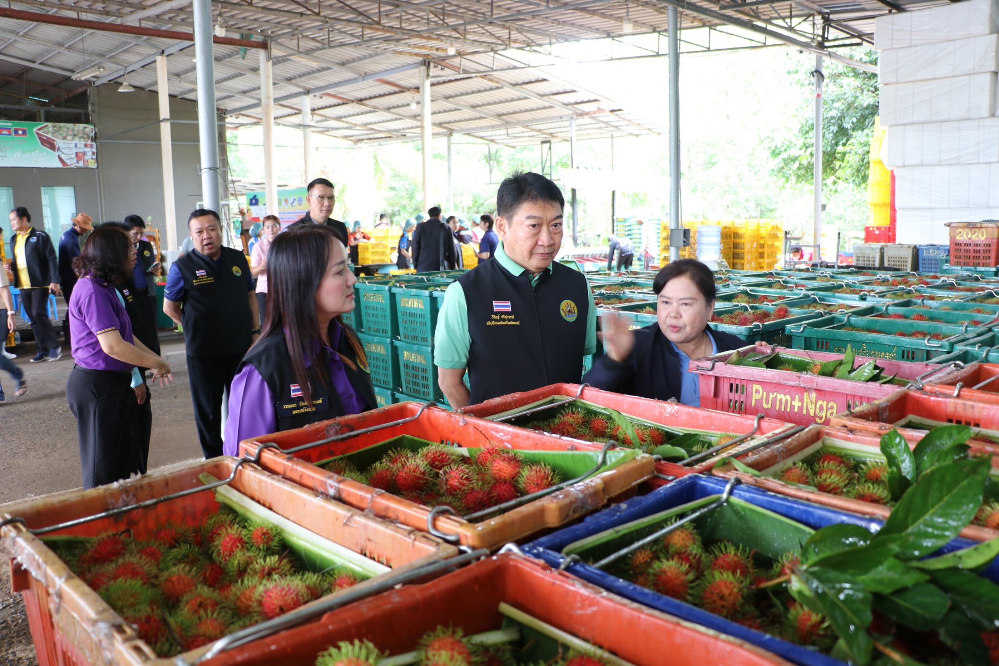 กรมส่งเสริมสหกรณ์ วางมาตรการรับมือผลผลิตผลไม้ปี 2568 พร้อมสนับสนุนรวบรวมและกระจายผลผลิตผ่านสหกรณ์ เพิ่มช่องทางการตลาดทั้งในและต่างประเทศ ขับเคลื่อนเศรษฐกิจฐานรากอย่างยั่งยืน 7 S 93765736