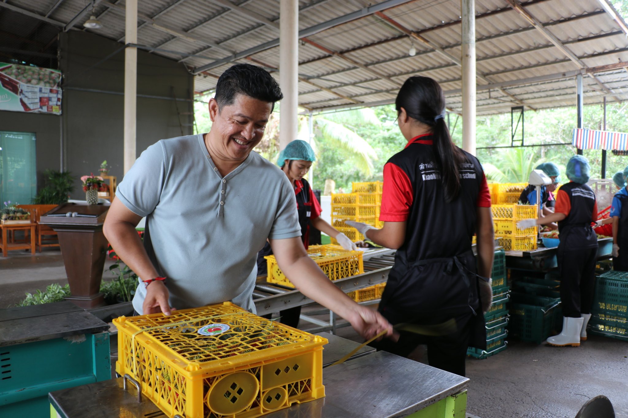กรมส่งเสริมสหกรณ์ วางมาตรการรับมือผลผลิตผลไม้ปี 2568 พร้อมสนับสนุนรวบรวมและกระจายผลผลิตผ่านสหกรณ์ เพิ่มช่องทางการตลาดทั้งในและต่างประเทศ ขับเคลื่อนเศรษฐกิจฐานรากอย่างยั่งยืน 8 S 93765738