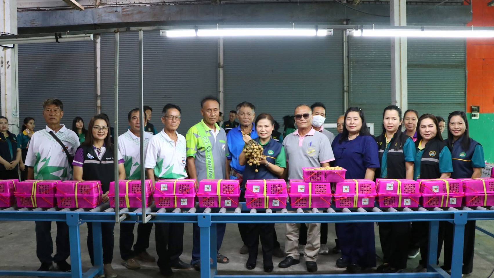 กรมส่งเสริมสหกรณ์ วางมาตรการรับมือผลผลิตผลไม้ปี 2568 พร้อมสนับสนุนรวบรวมและกระจายผลผลิตผ่านสหกรณ์ เพิ่มช่องทางการตลาดทั้งในและต่างประเทศ ขับเคลื่อนเศรษฐกิจฐานรากอย่างยั่งยืน 9 S 93765741