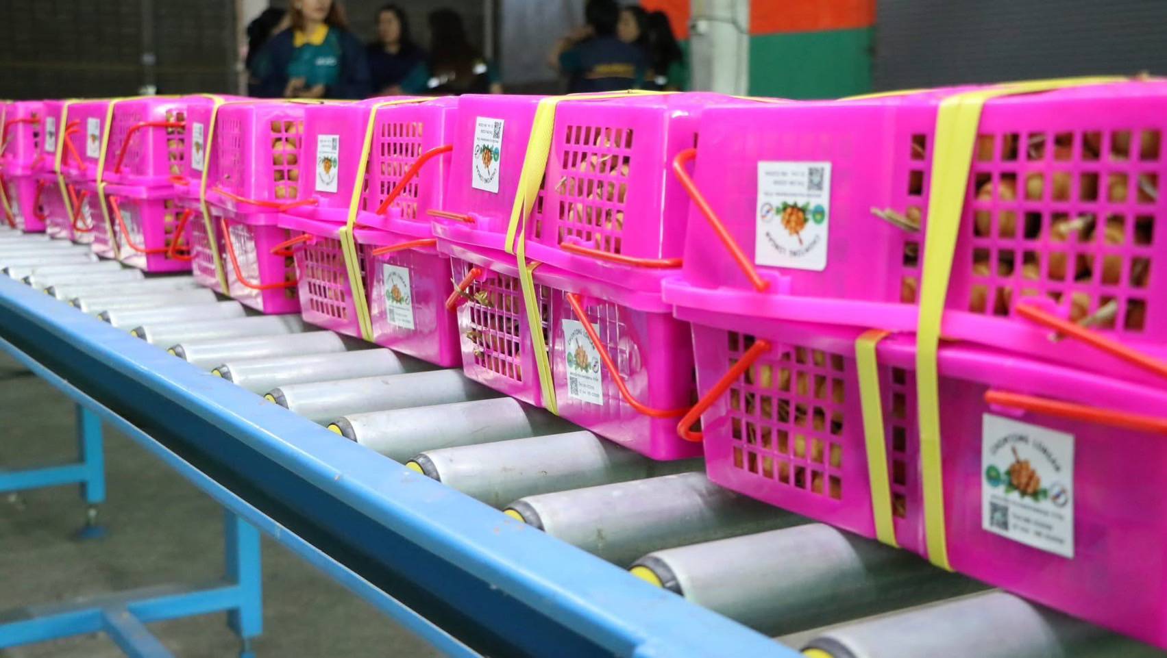 กรมส่งเสริมสหกรณ์ วางมาตรการรับมือผลผลิตผลไม้ปี 2568 พร้อมสนับสนุนรวบรวมและกระจายผลผลิตผ่านสหกรณ์ เพิ่มช่องทางการตลาดทั้งในและต่างประเทศ ขับเคลื่อนเศรษฐกิจฐานรากอย่างยั่งยืน 11 S 93765752