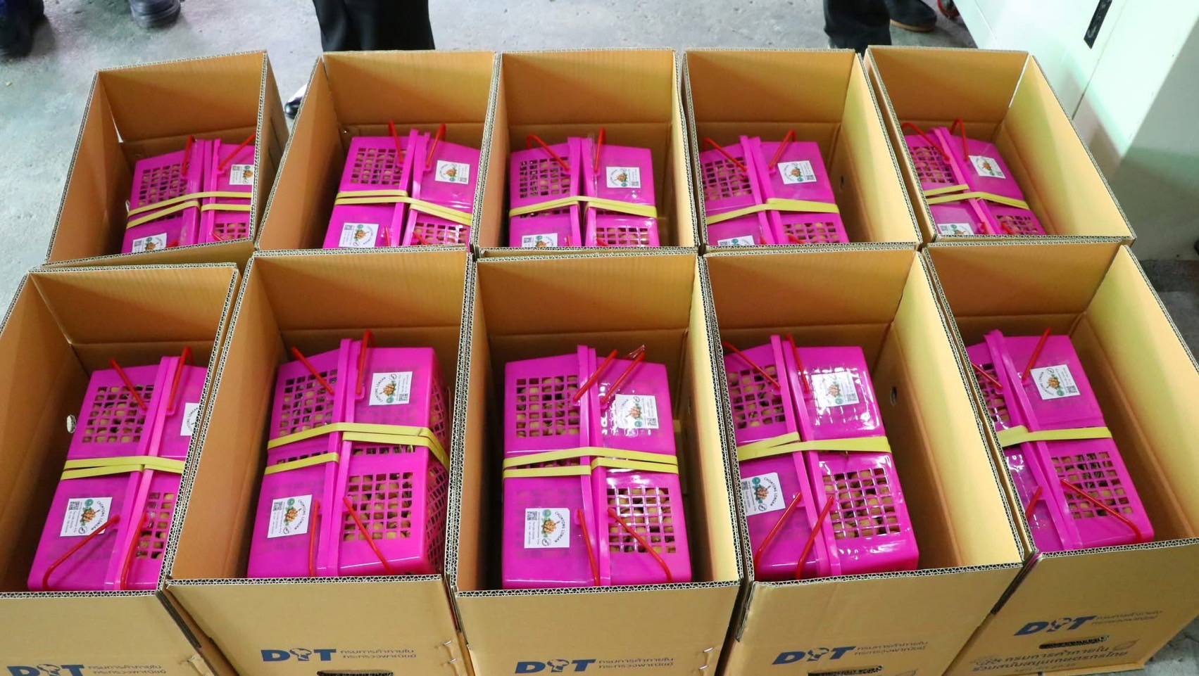 กรมส่งเสริมสหกรณ์ วางมาตรการรับมือผลผลิตผลไม้ปี 2568 พร้อมสนับสนุนรวบรวมและกระจายผลผลิตผ่านสหกรณ์ เพิ่มช่องทางการตลาดทั้งในและต่างประเทศ ขับเคลื่อนเศรษฐกิจฐานรากอย่างยั่งยืน 12 S 93765759