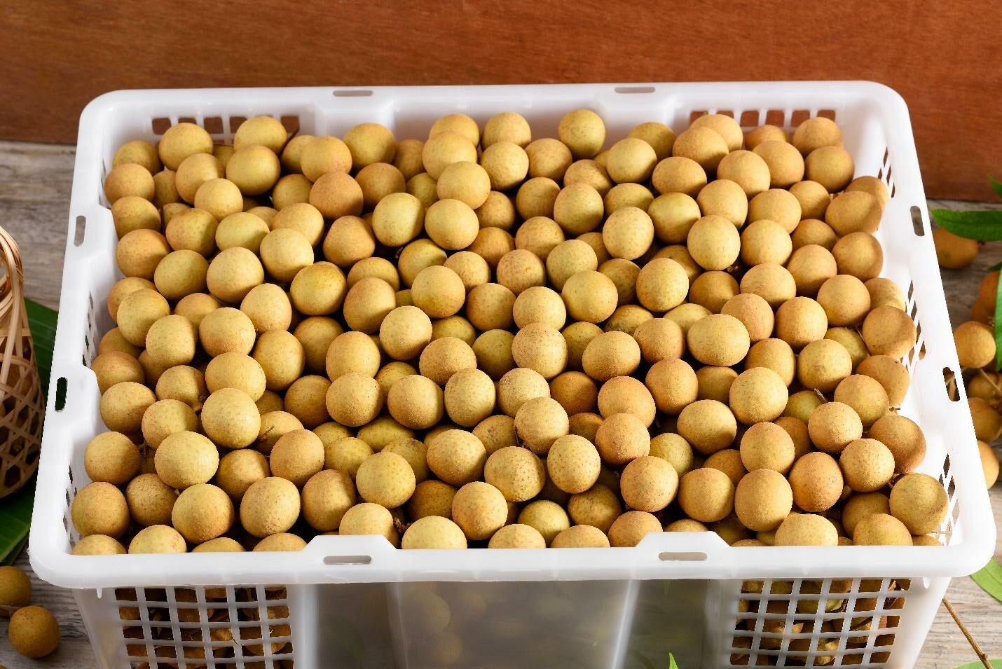 กรมส่งเสริมสหกรณ์ วางมาตรการรับมือผลผลิตผลไม้ปี 2568 พร้อมสนับสนุนรวบรวมและกระจายผลผลิตผ่านสหกรณ์ เพิ่มช่องทางการตลาดทั้งในและต่างประเทศ ขับเคลื่อนเศรษฐกิจฐานรากอย่างยั่งยืน 16 S 93765775