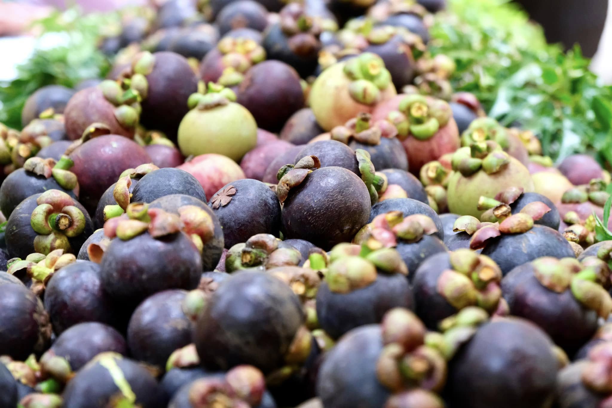 กรมส่งเสริมสหกรณ์ วางมาตรการรับมือผลผลิตผลไม้ปี 2568 พร้อมสนับสนุนรวบรวมและกระจายผลผลิตผ่านสหกรณ์ เพิ่มช่องทางการตลาดทั้งในและต่างประเทศ ขับเคลื่อนเศรษฐกิจฐานรากอย่างยั่งยืน 17 S 93765777