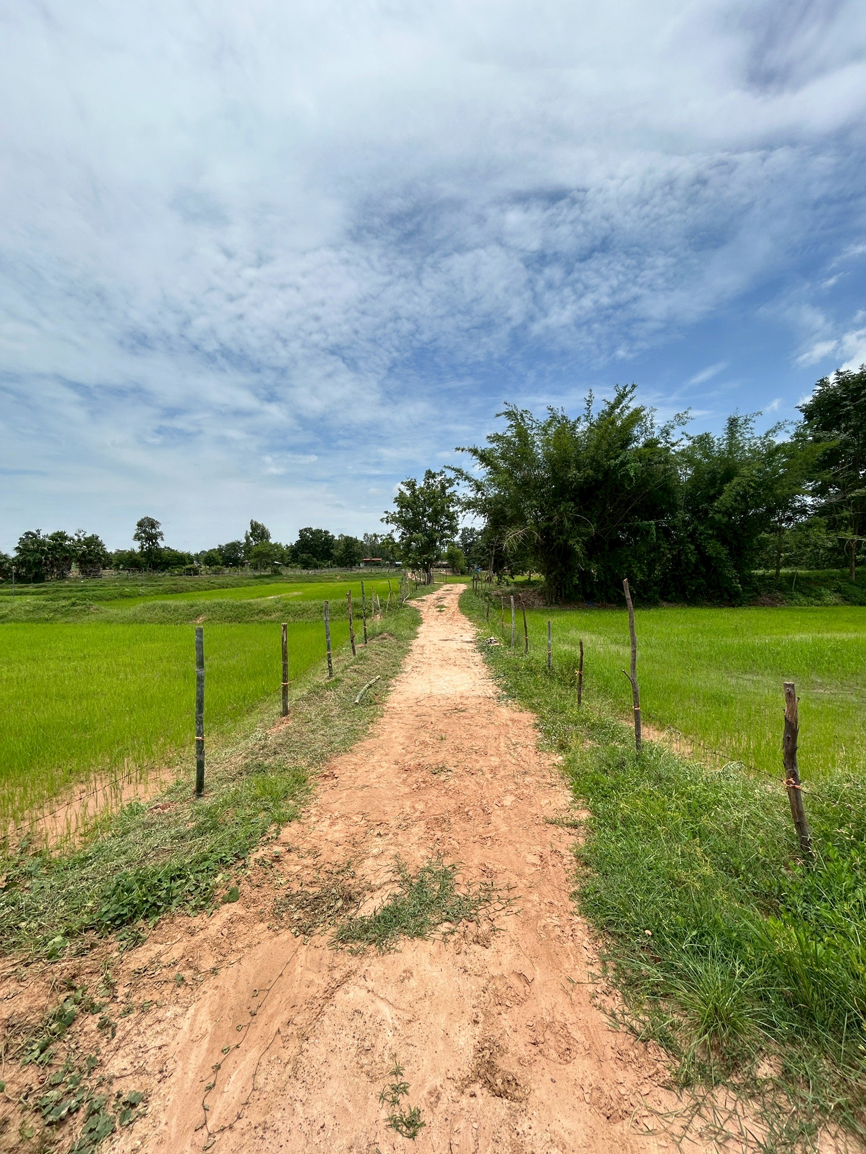 สศก. ติดตามความก้าวหน้าโครงการจัดการความเสื่อมโทรมของที่ดิน ด้วยแนวคิด LDN มุ่งสู่การใช้ที่ดินอย่างยั่งยืน 13 VJTC7735 1