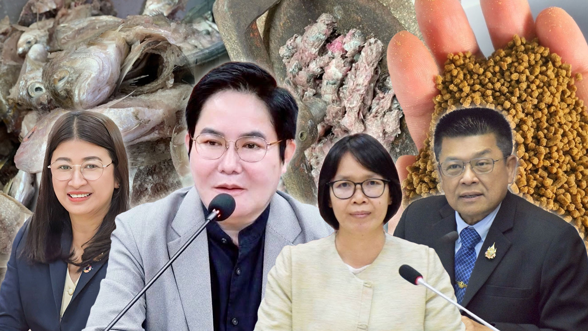 กรมประมง เปลี่ยนเศษปลาไม่ให้ไร้ค่า พัฒนาเป็น “โปรตีนไฮโดรไลเสต” แบบเข้มข้นช่วยลดต้นทุนอาหาร เสริมสร้างการเจริญเติบโตของสัตว์น้ำตอบโจทย์ผลงานวิจัยที่ต่อยอดสู่การใช้ประโยชน์ได้จริง 1 กรมประมง 2