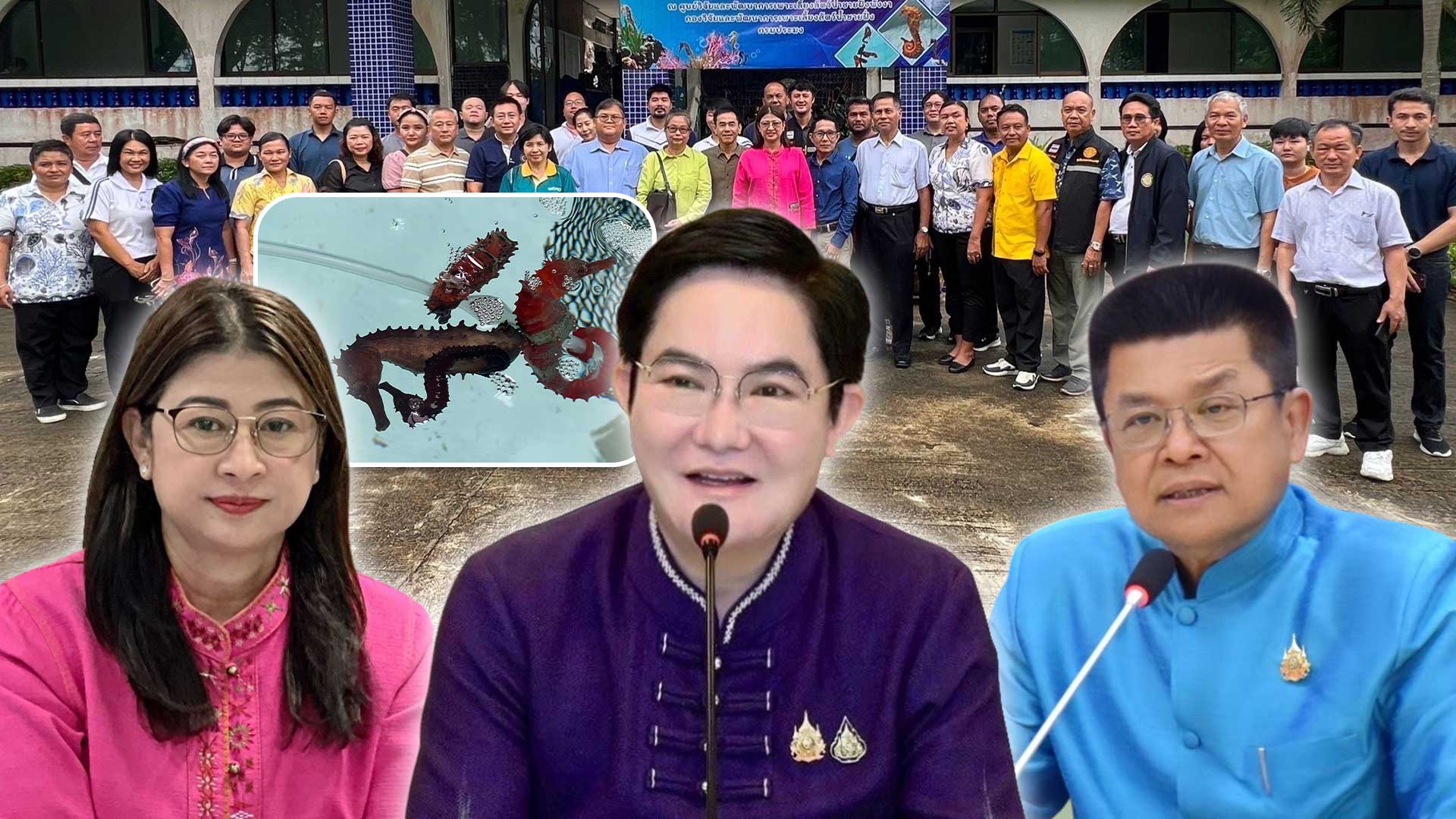 กรมประมง เปิดคอร์สอบรม “เทคนิคเพาะเลี้ยงม้าน้ำในโรงเพาะฟัก” จังหวัดพังงา ปูเส้นทางสู่ตลาดสัตว์น้ำเศรษฐกิจมูลค่าสูง ควบคู่การฟื้นฟูระบบนิเวศทะเลไทยอย่างยั่งยืนภายใต้ฐานงานวิจัยและกฎหมายรองรับการเพาะพันธุ์อย่างถูกต้อง 1 กรมประมง เปิดคอร์สอบรม3