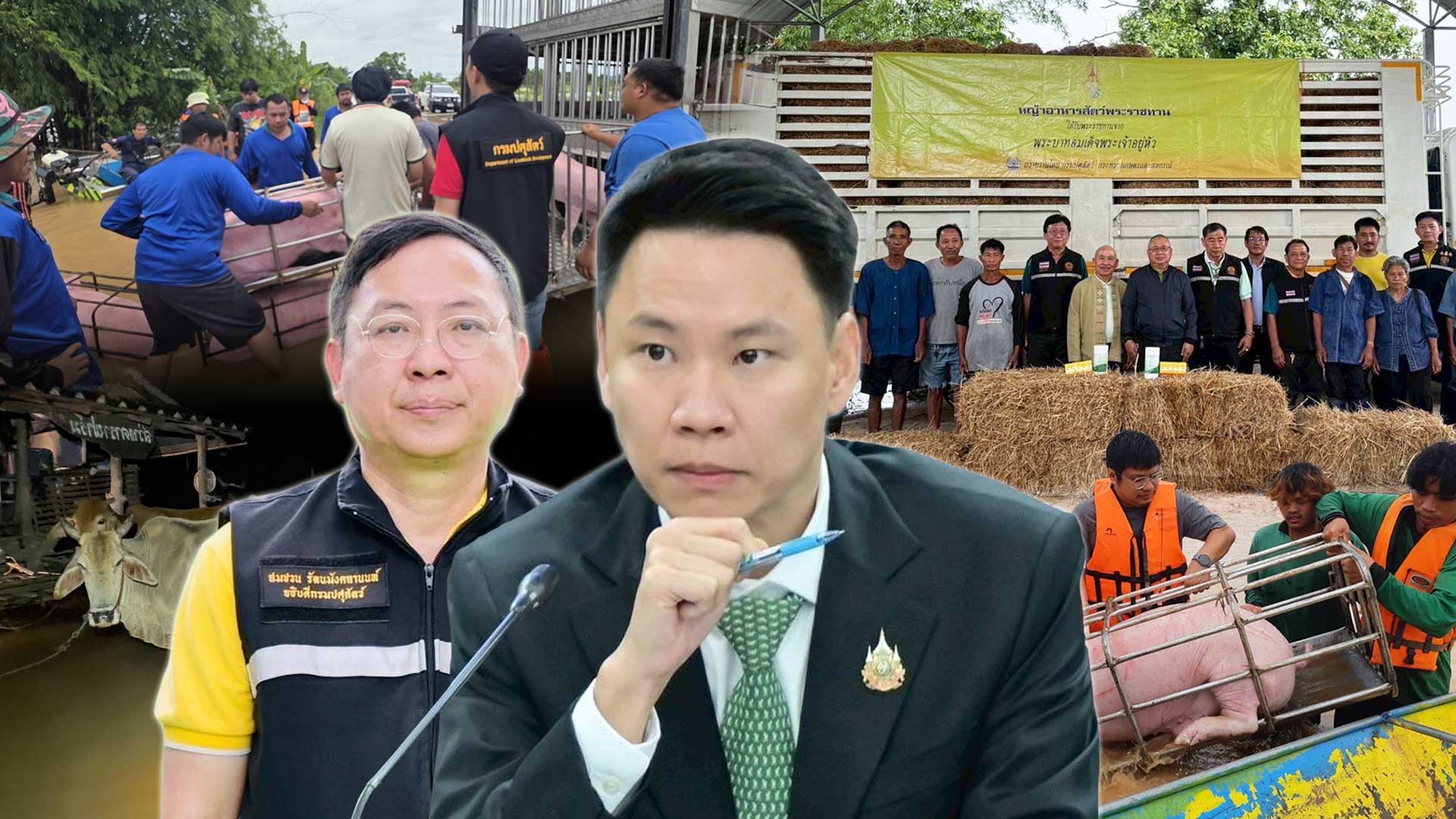 กรมปศุสัตว์เร่งช่วยเกษตรกรเลี้ยงสัตว์ใน 8จังหวัดประสบภัยพายุ “วิภา” มอบอาหารสัตว์พระราชทาน อพยพสัตว์เกือบ 6 หมื่นตัว – เฝ้าระวังโรคระบาดสัตว์เข้มข้น 1 กรมปศุสัตว์เร่งช่วยเกษตรกร2