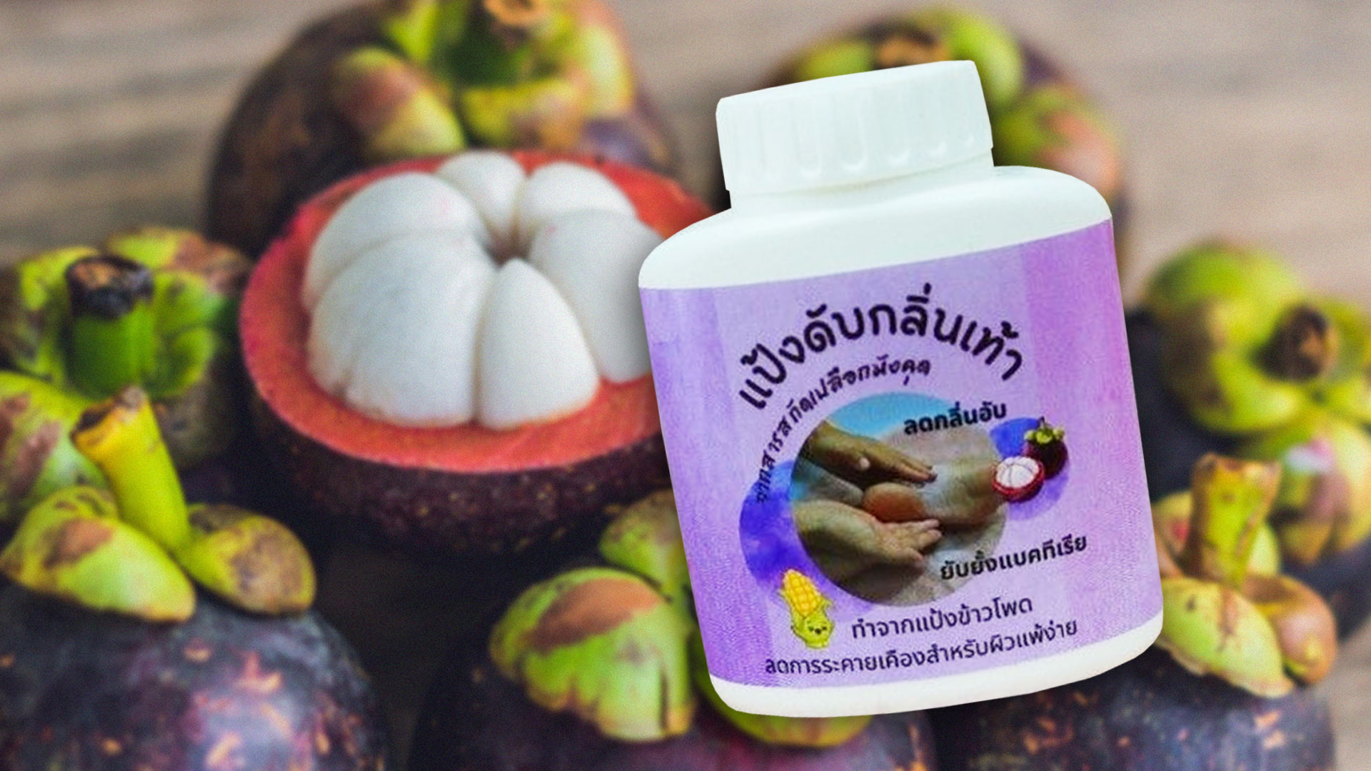 กรมวิชาการเกษตรส่งเสริมนวัตกรรมจากเปลือกมังคุด สู่ “แป้งดับกลิ่นเท้า”ยับยั้งเชื้อแบคทีเรียต่อยอดเป็นผลิตภัณฑ์ชุมชน “กันเกา” 1 กรมวิชาการเกษตร2 1