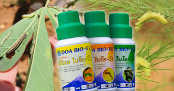 กรมวิชาการเกษตร2 5