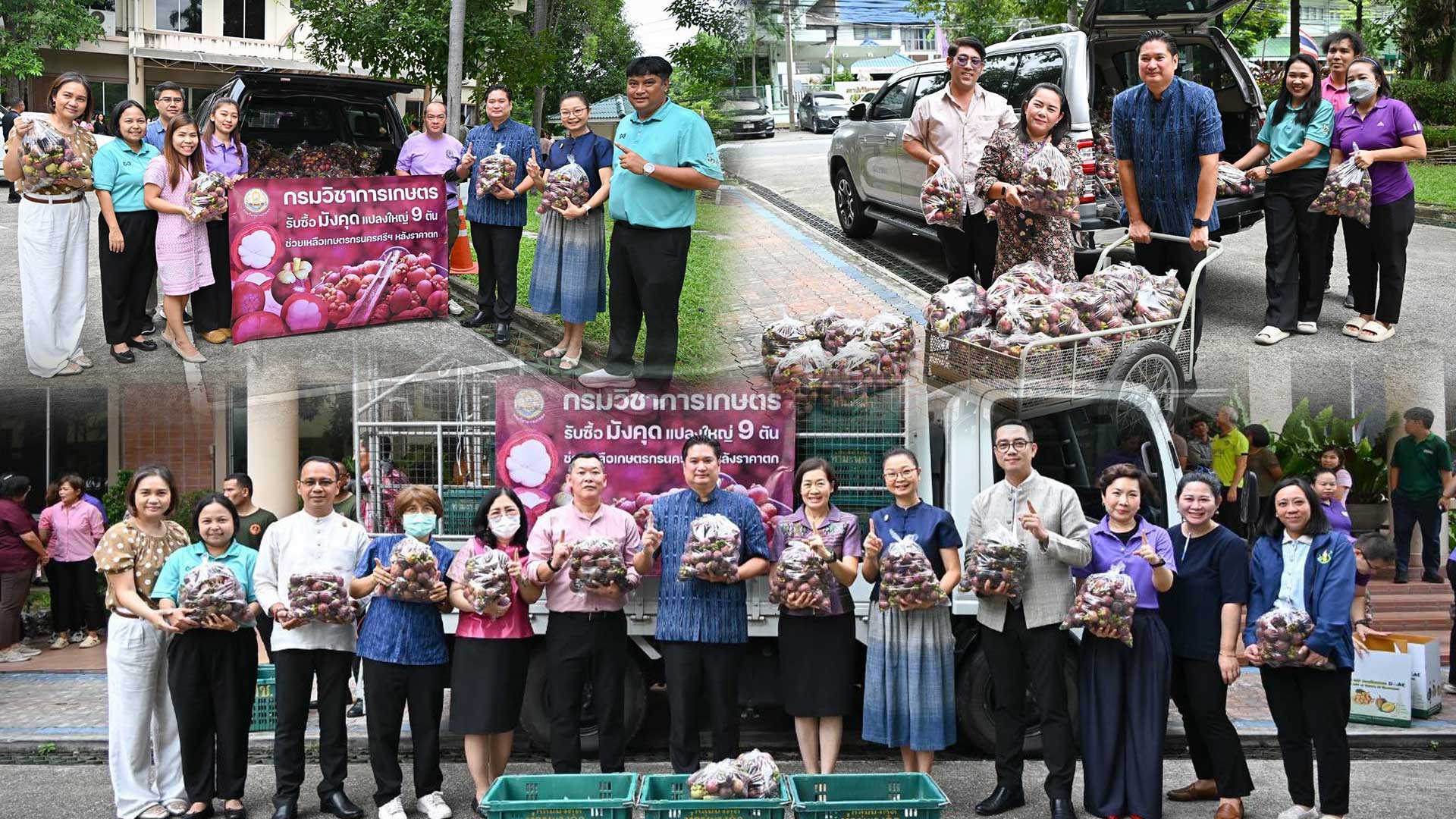 กรมวิชาการเกษตร รับนโยบายรัฐมนตรีเกษตร ช่วยเหลือเกษตรกรใต้ รับซื้อมังคุดแปลงใหญ่ 9 ตัน นำร่องเชิญชวนประชาชนบริโภคผลไม้ไทยเพิ่ม 1 กรมวิชาการเกษตร3