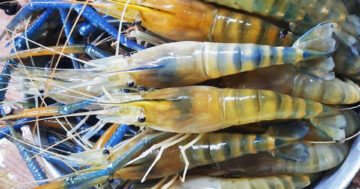 ขึ้นทะเบียน2