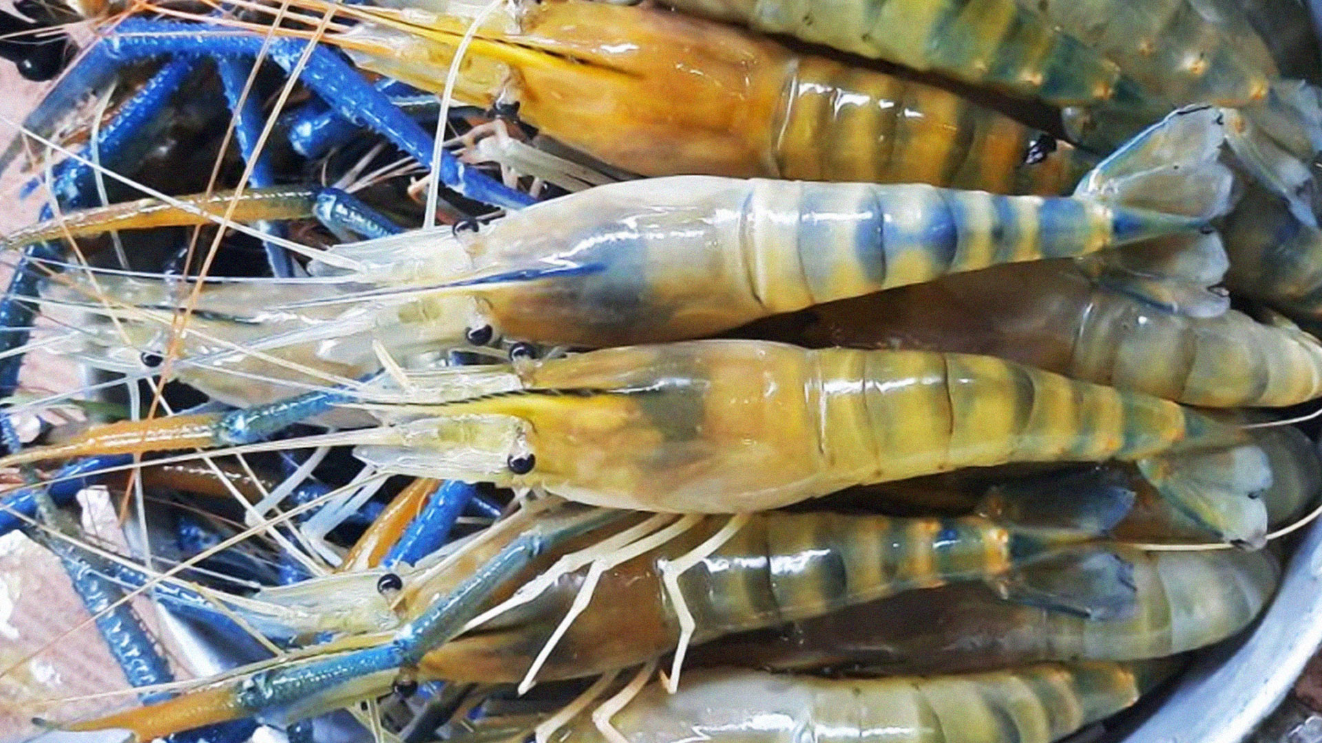 ขึ้นทะเบียนสินค้าGI ขึ้นทะเบียน2