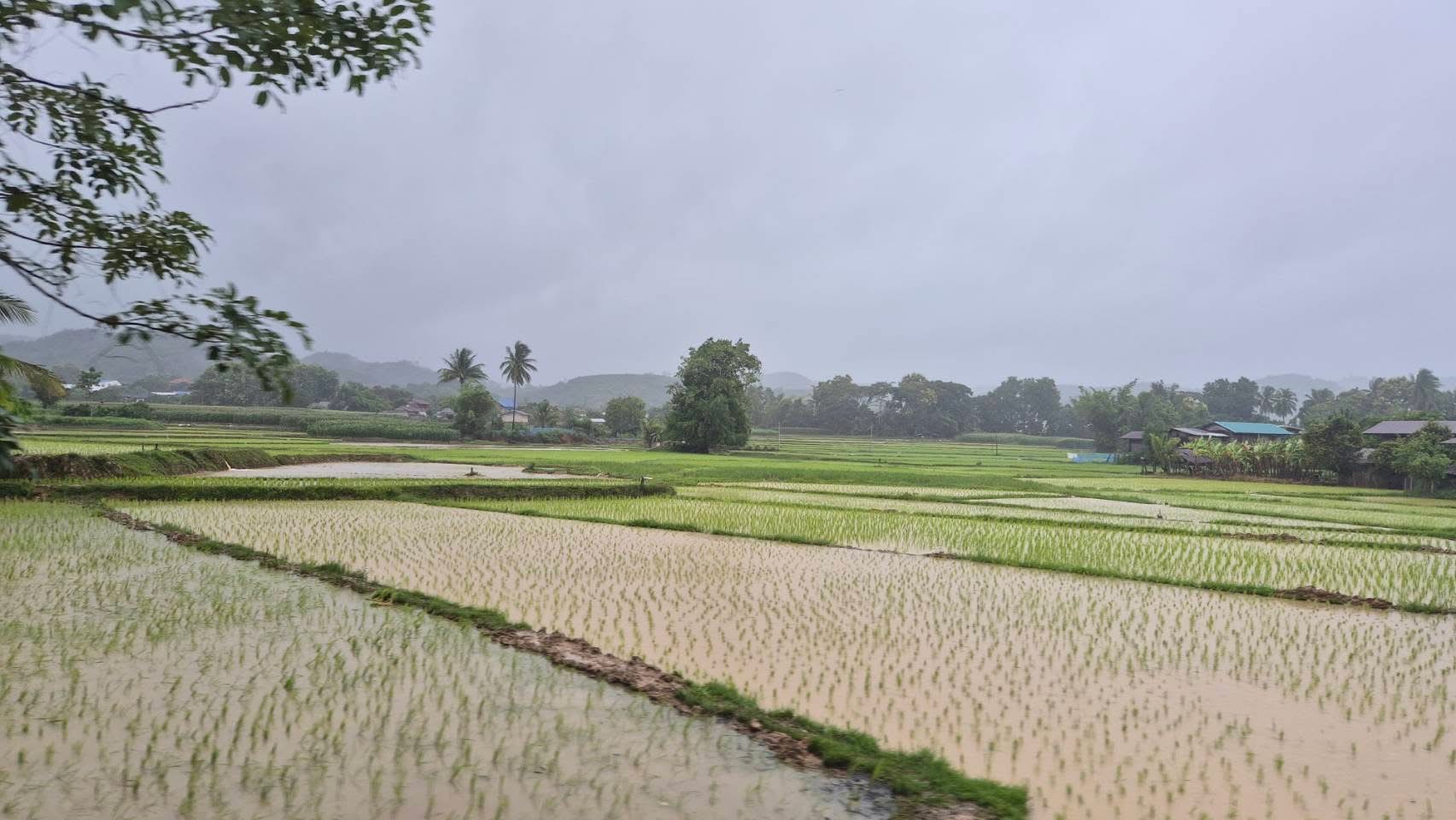 เชิญชวนเกษตรกร ขึ้นทะเบียนและปรับปรุงทะเบียนเกษตรกร รับมือ ข่าว ทบก. รับมือน้ำเหนือ4