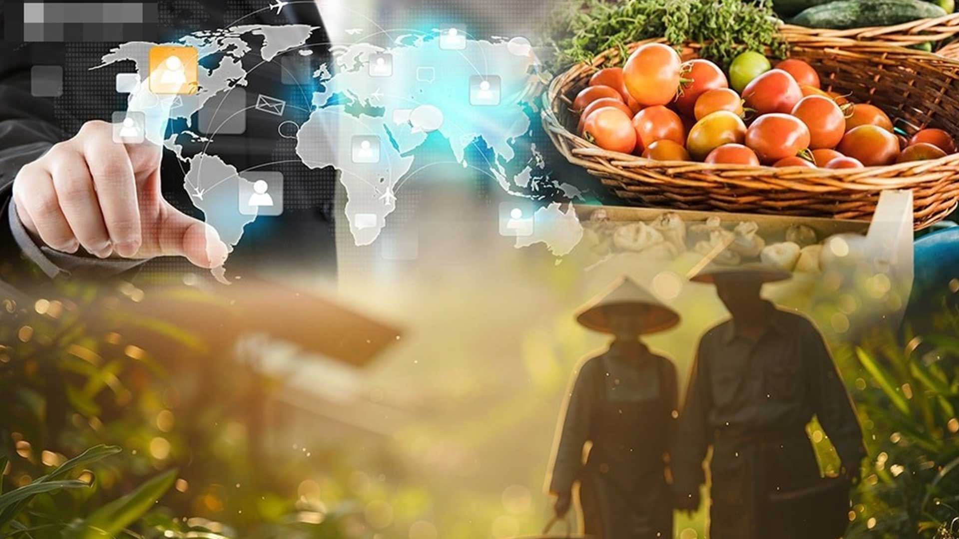 ครม.เห็นชอบร่างแผนแม่บทพัฒนาเกษตรกรรม ฉบับที่ 2 (พ.ศ.2568-2575) ตั้งเป้าเกษตรกรมีรายได้ 5.37 แสนบาท/ครัวเรือน ภายในปี 2570 1 ครมเห็นชอบ3