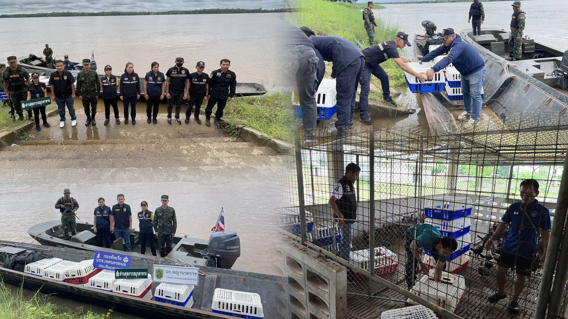 ฉก.พญานาคราช2