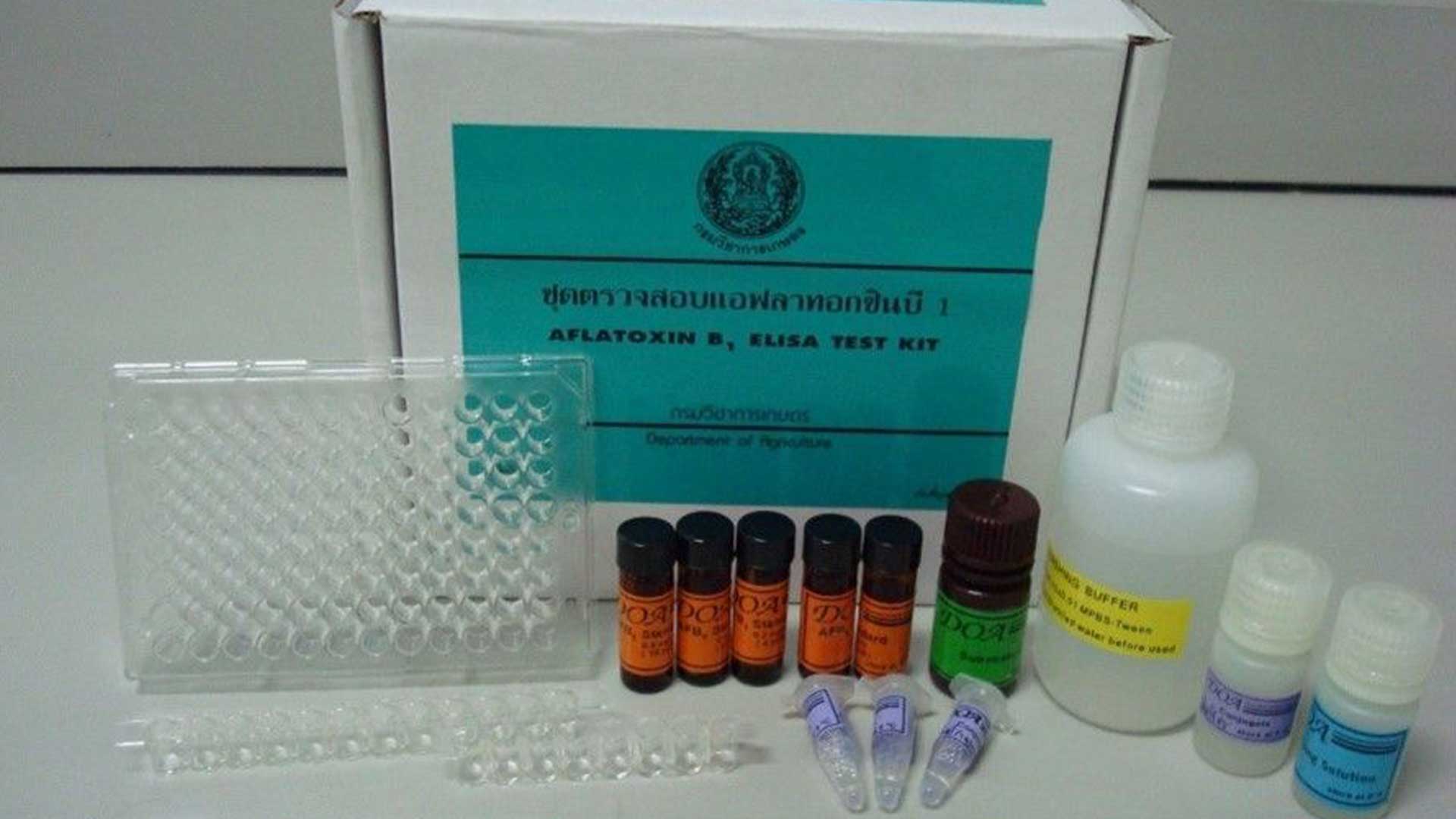 “ชุดตรวจแอฟลาทอกซิน” ฝีมือคนไทย ตรวจไว มั่นใจ อาหารปลอดภัย พัฒนาโดยกรมวิชาการเกษตร 1 ชุดตรวจแอฟลาทอกซิน3