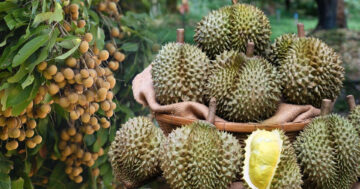 ทหาร – นักโทษชั้นดี2