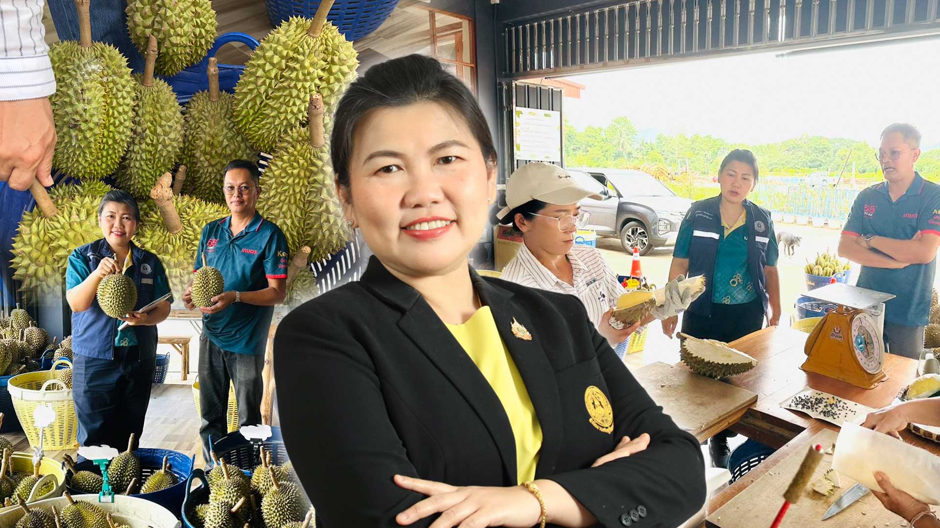 สศท.2 เกาะติดสถานการณ์ผลิตทุเรียนภาคเหนือตอนล่าง ปี 68 รวม 6 จังหวัด แตะ 55,000 ตัน เพิ่มขึ้น 12.47% 1 ทุเรียนภาคเหนือตอนล่าง ปี 68 3