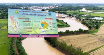 ทุ่งบางระกำเริ่มเก็บเกี่ยวข้าว3