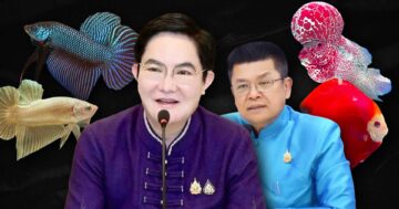 ปลาสวยงาม2