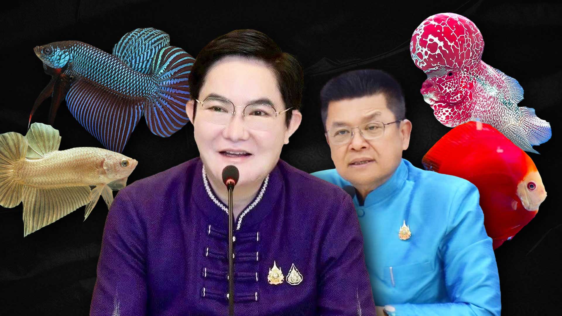 อธิบดีกรมประมงเผย ปลาสวยงาม ปลากัดไทย ได้รับความนิยมทั่วโลก ปี 2567 ส่งออกกว่า 1,000 ล้านบาท จับมือไปรษณีย์ไทยพร้อมส่งทั่วไทย เตรียมส่งทั่วโลก 1 ปลาสวยงาม2