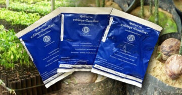 ปุ๋ยชีวภาพอาร์บัสคูลาร์ไมคอร์ไรซา2