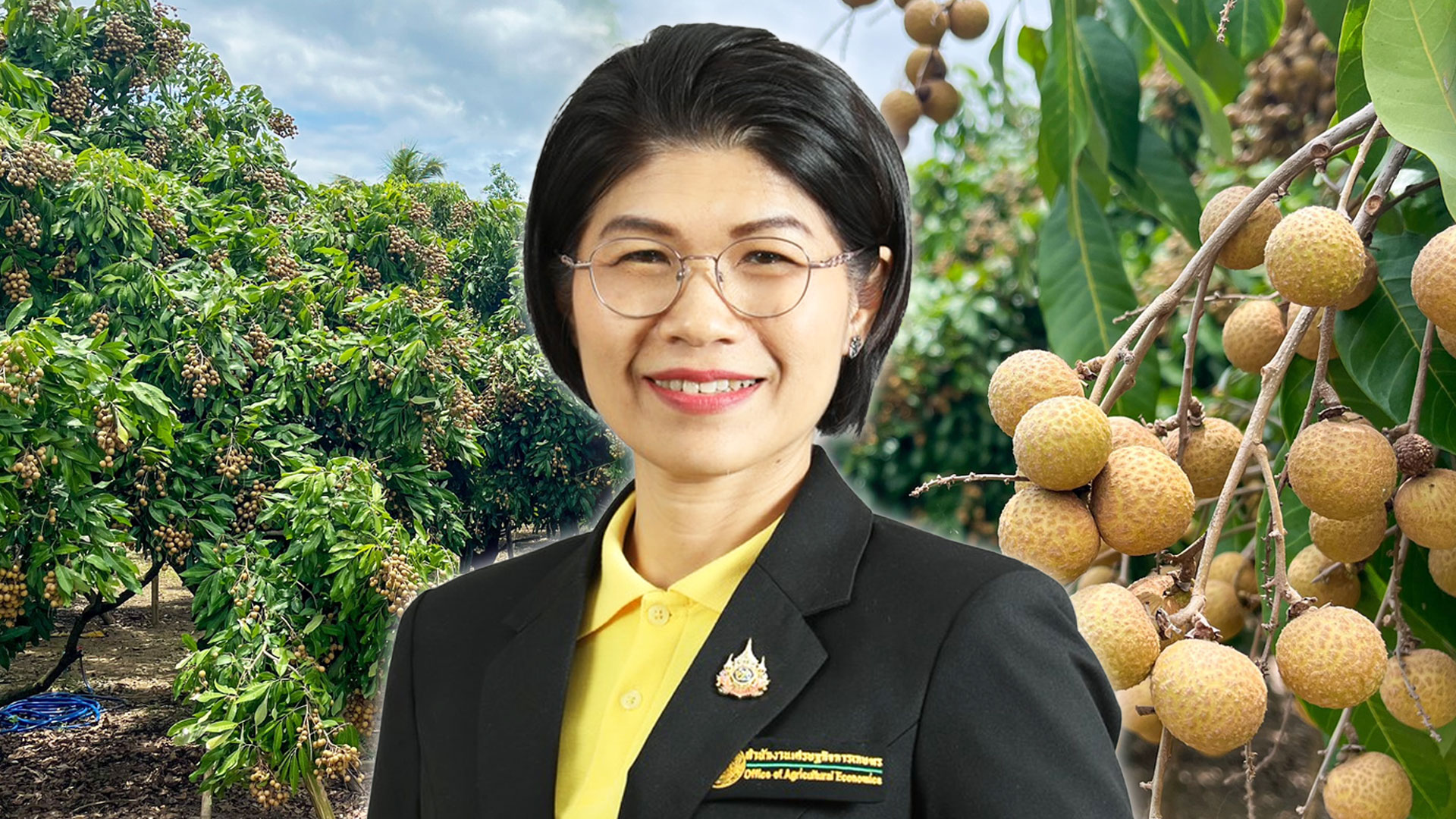 ภาพรวมลำไย 8 จังหวัด ภาคเหนือ ปี 68 ผลผลิตรวม 1.06 ล้านตัน เพิ่มขึ้น 12% ลำไยในฤดูเริ่มออกตลาดแล้ว สศท.1 เชิญชวนบริโภคลำไยคุณภาพ 1 ภาพรวมลำไย2