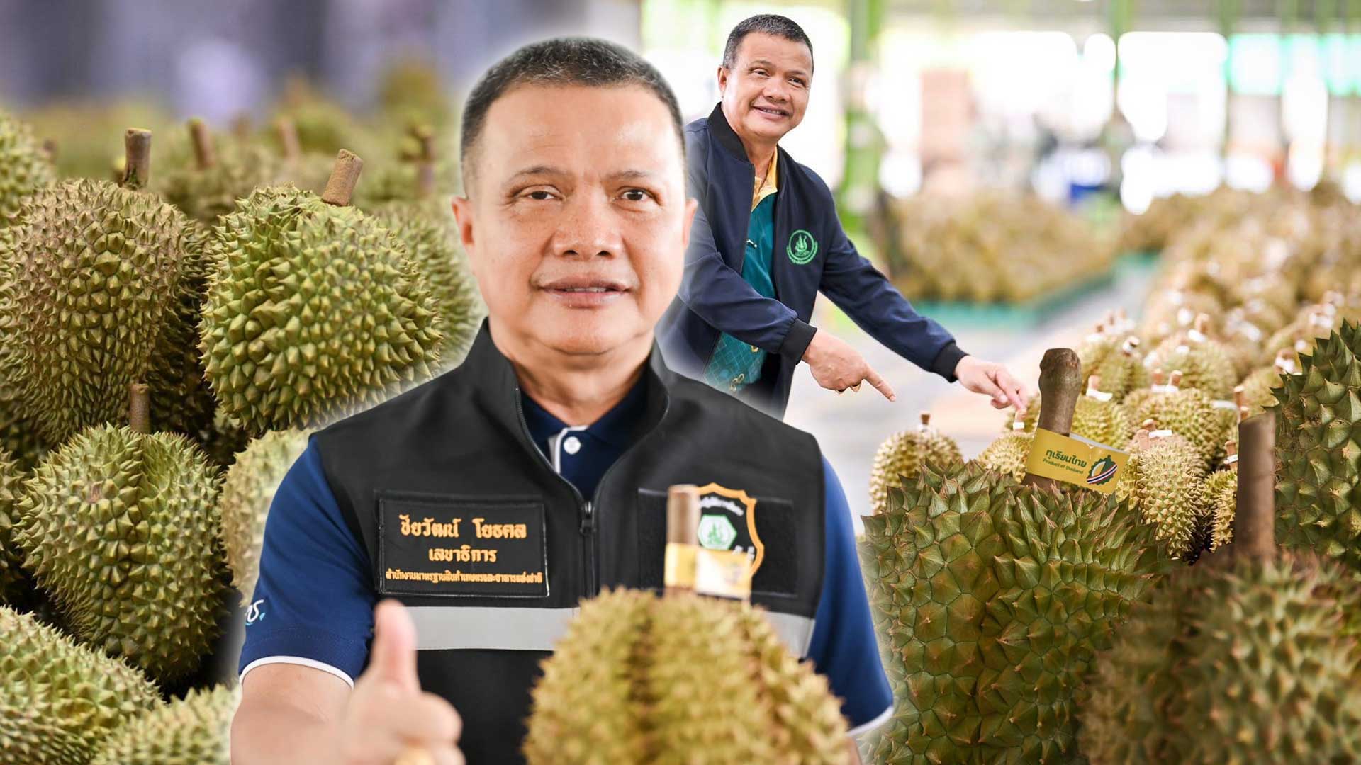 มกอชบังคับใช้3