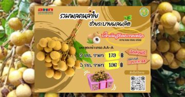 รับมือลำไยล้นตลาด 2