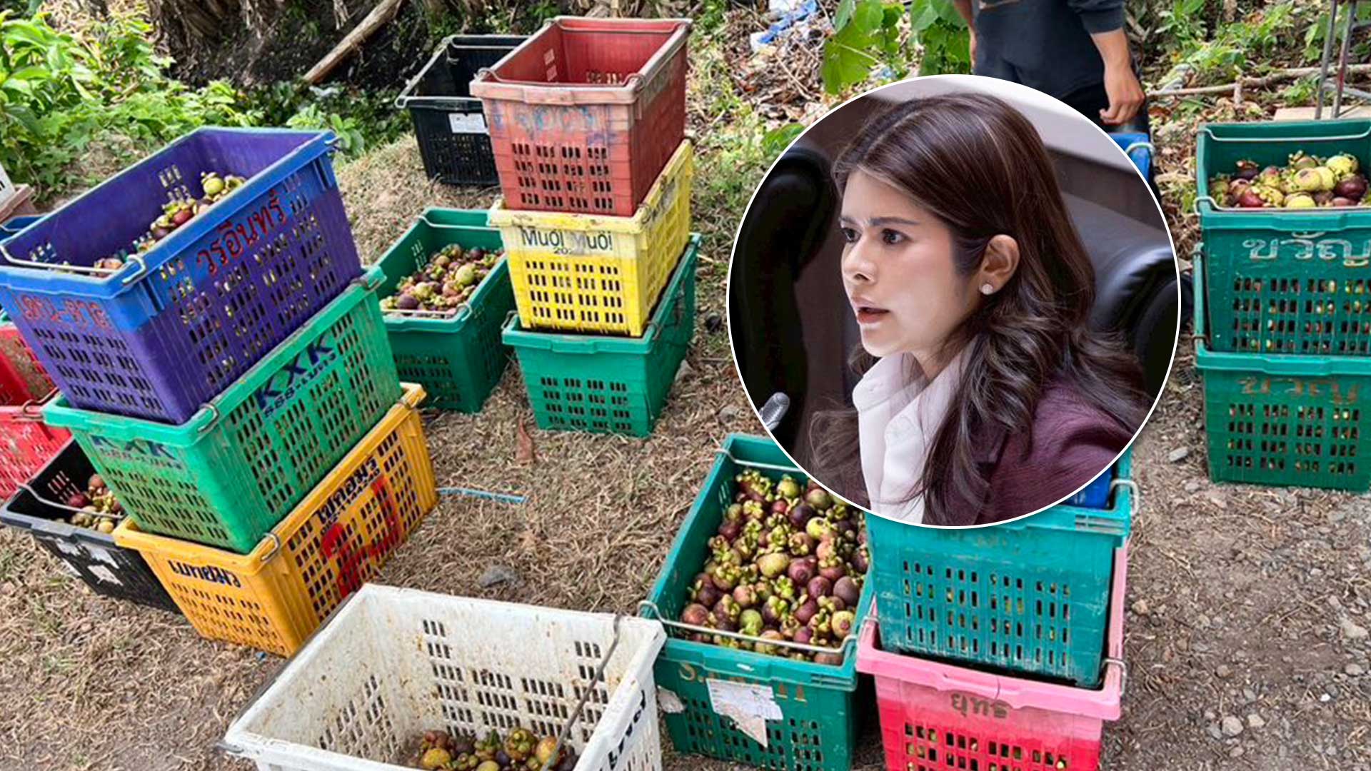 ลิซ่า ภคมน3