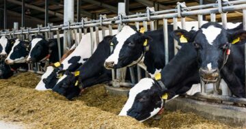 ศึกษาจริงจัง3