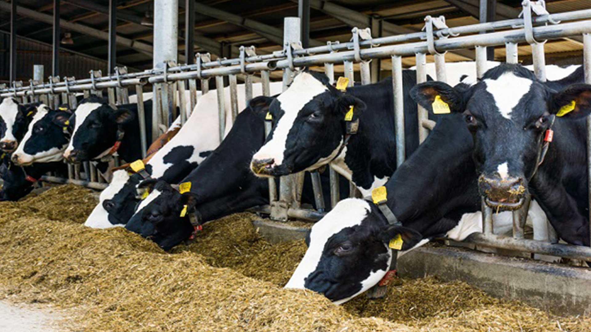 ศึกษาจริงจัง.. ศึกษาจริงจัง3