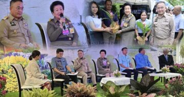 สีสรรพรรณไม้3