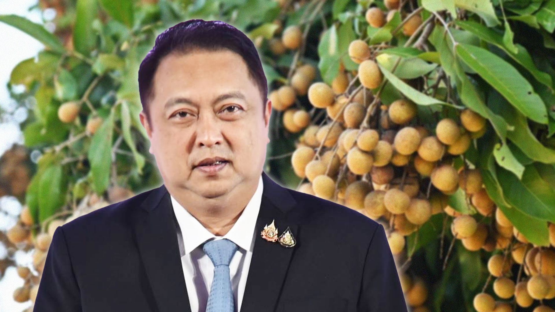 ‘สุชาติ’ แจงลำไยราคา กก.ละ 1 บาทเป็นลำไยเกรด C สั่งเดินหน้ามาตรการคู่ขนาน ดันราคาลำไย ดูดซับผลผลิตช่วยเกษตรกร เร่งส่งออก-แปรรูป เชื่อมตลาดใน-ต่างประเทศ 1 สุชาติ2