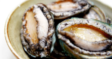 หอยเป๋าฮื้อ2