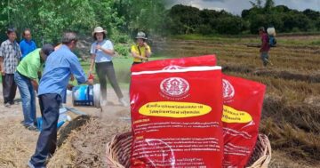 หัวเชื้อจุลินทรีย์ย่อยสลายวัสดุอินทรีย์3