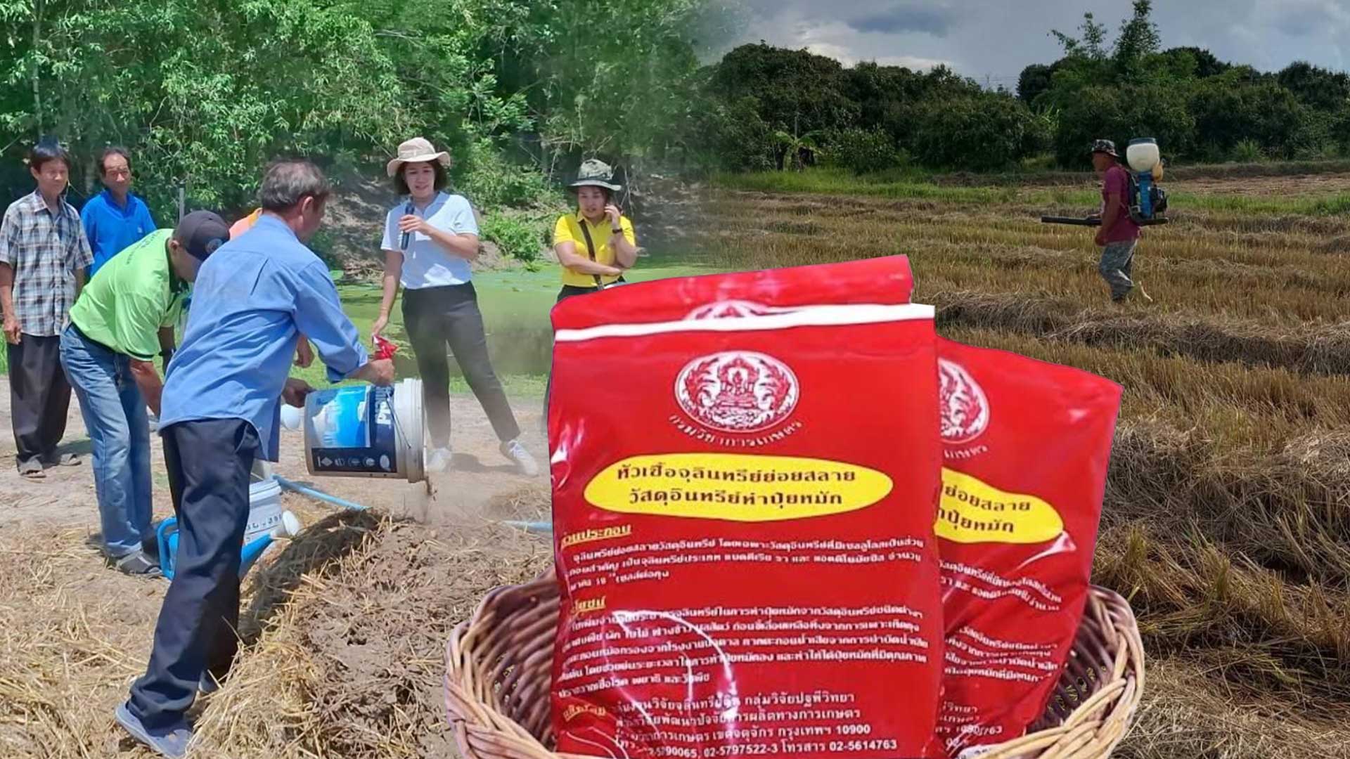 หัวเชื้อจุลินทรีย์ย่อยสลายวัสดุอินทรีย์ เร่งกระบวนการผลิตปุ๋ยหมัก ลดการเผาเศษซากพืช ช่วยเกษตรกรเพิ่มผลผลิตอย่างยั่งยืน 1 หัวเชื้อจุลินทรีย์ย่อยสลายวัสดุอินทรีย์3