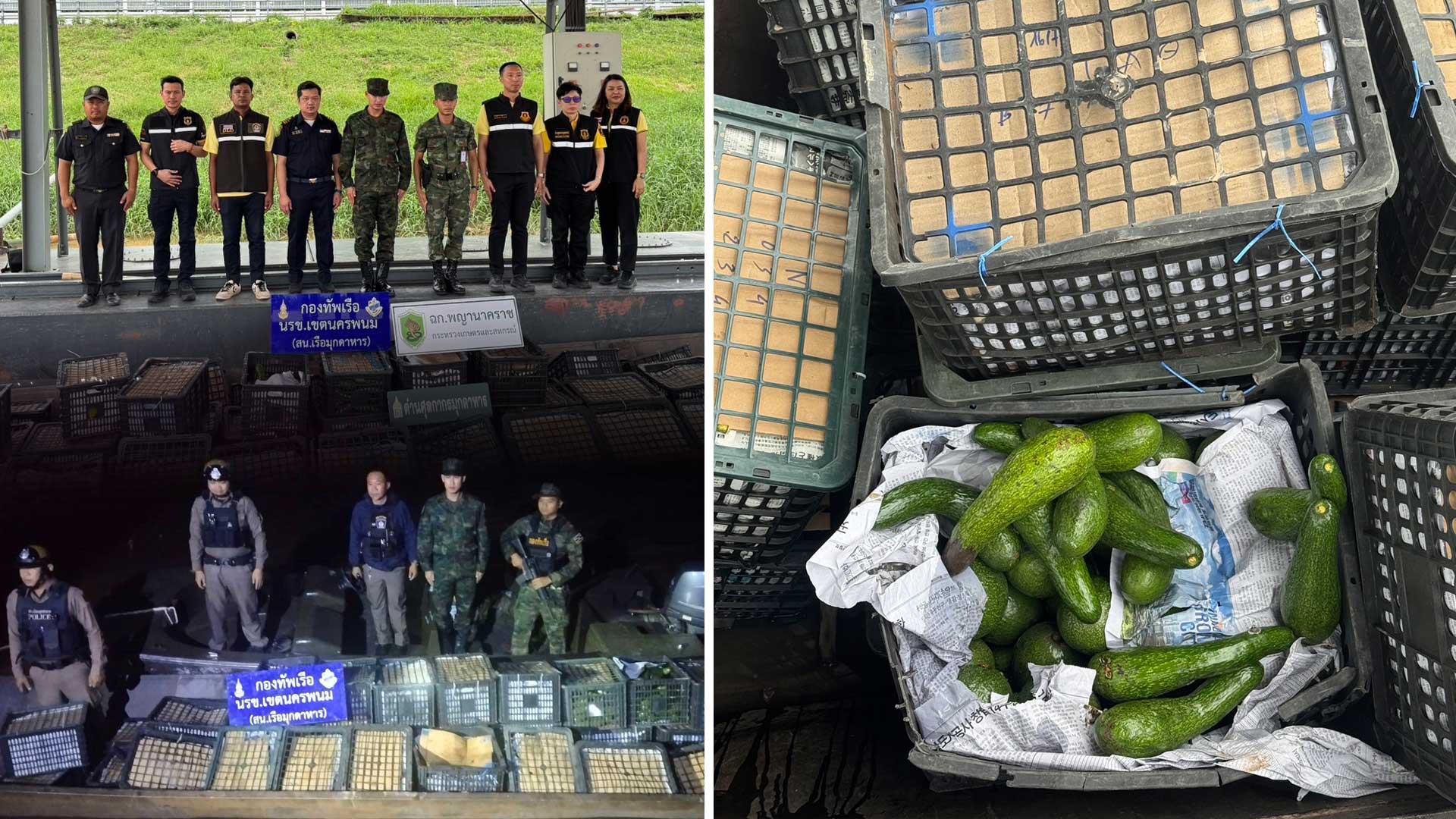 “ฉก.พญานาคราช” จับอะโวคาโดเถื่อนน้ำหนัก 1,750 กิโลกรัม จังหวัดมุกดาหาร 1 อะโวคาโดเถื่อน3