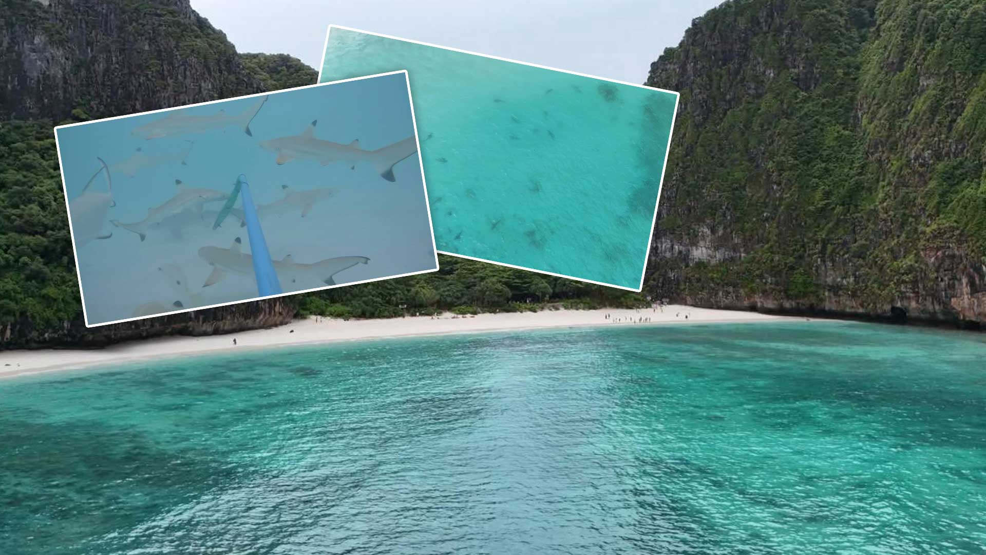 อ่าวมาหยาคืนชีพ พบ อ่าวมาหยาคืนชีพ3