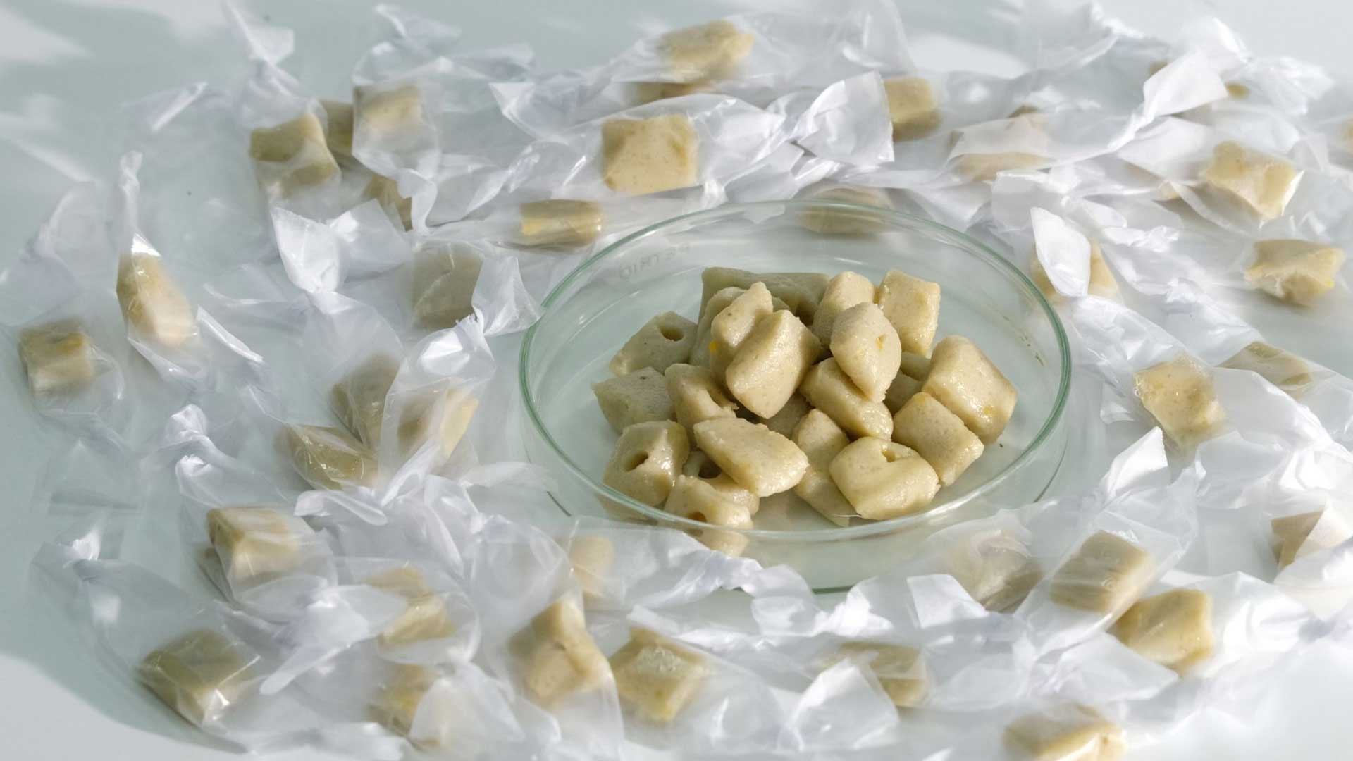 กำจัดหนูศัตรูพืชอย่างปลอดภัยด้วย เหยื่อโปรโตซัว2