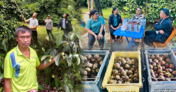 แก้ไขปัญหา2