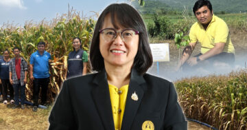 แปลงใหญ่2