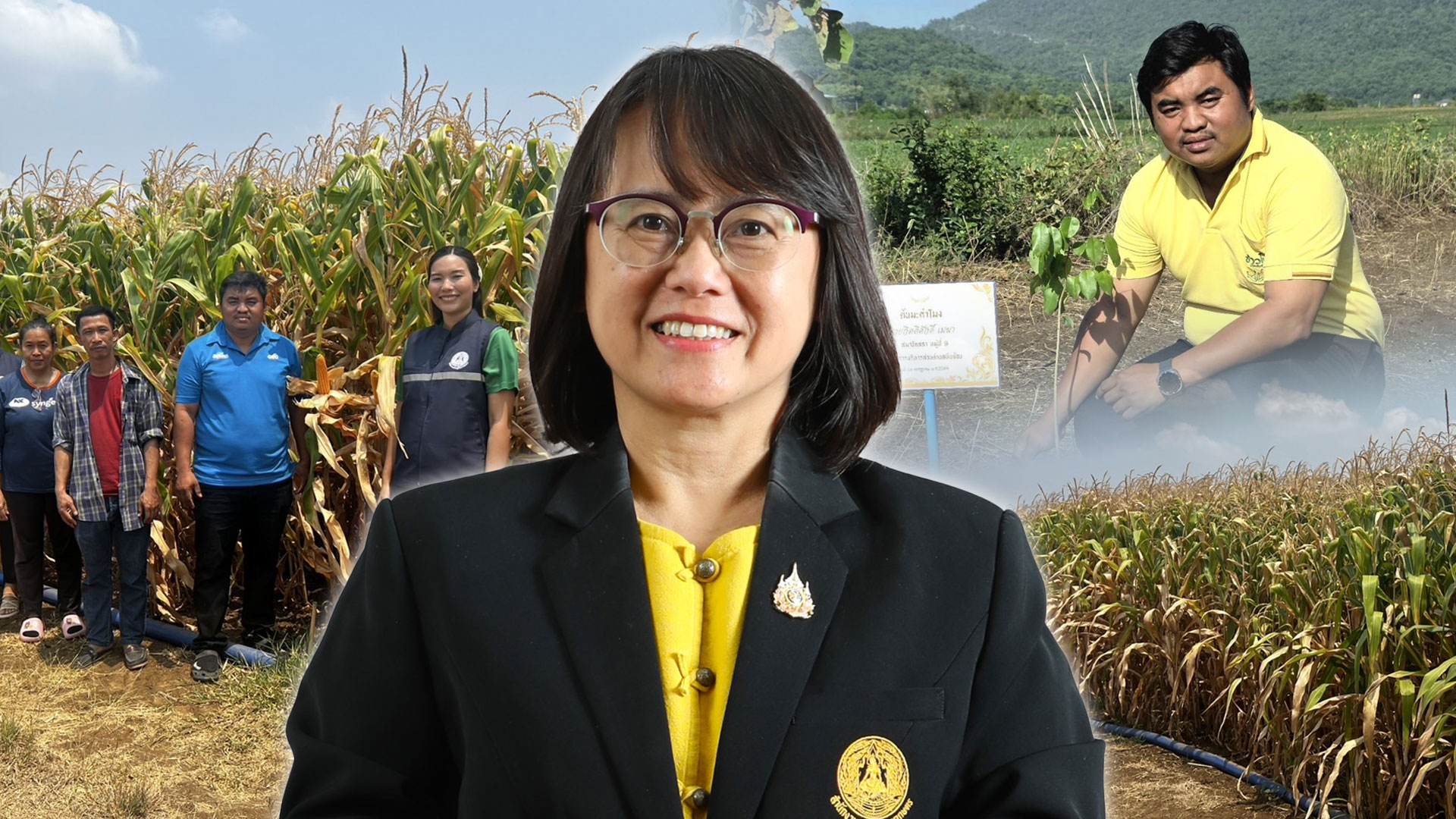 แปลงใหญ่ข้าวโพดเลี้ยงสัตว์ตำบลหินซ้อน จ.สระบุรี ดึงเทคโนโลยีและนวัตกรรม เพิ่มประสิทธิภาพ ผลผลิตต่อไร่สูง 1 แปลงใหญ่2