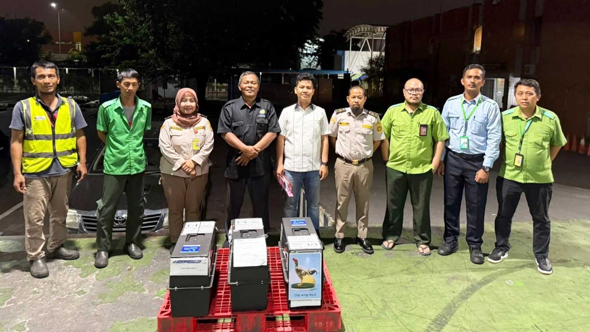 ไก่ไทยไปถึงอินโดนีเซีย ตลาดเปิดขนส่งปลอดภัย ไก่ชนไทยไปโลดแน่นอน 1 ไก่ไทยชุดแรก2