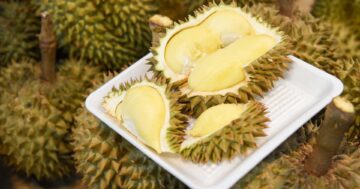 ไทยส่งออกทุเรียนสดไปจีน2