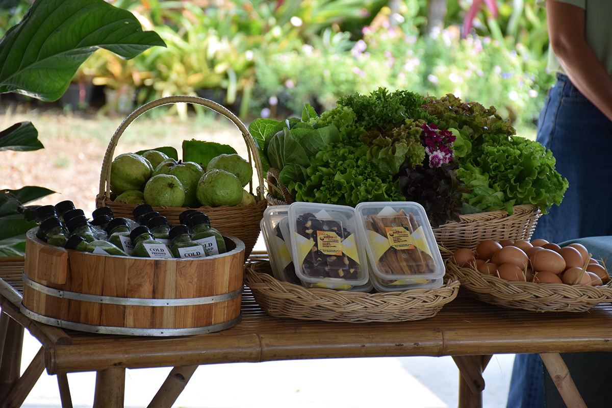 กรมวิชาการเกษตร ปลื้ม เกษตรกรอินทรีย์ดีเด่นแห่งชาติพลิกชีวิตจากสลัดกระถางสู่อาณาจักร “ฟาร์มผักอินทรีย์” 5 003