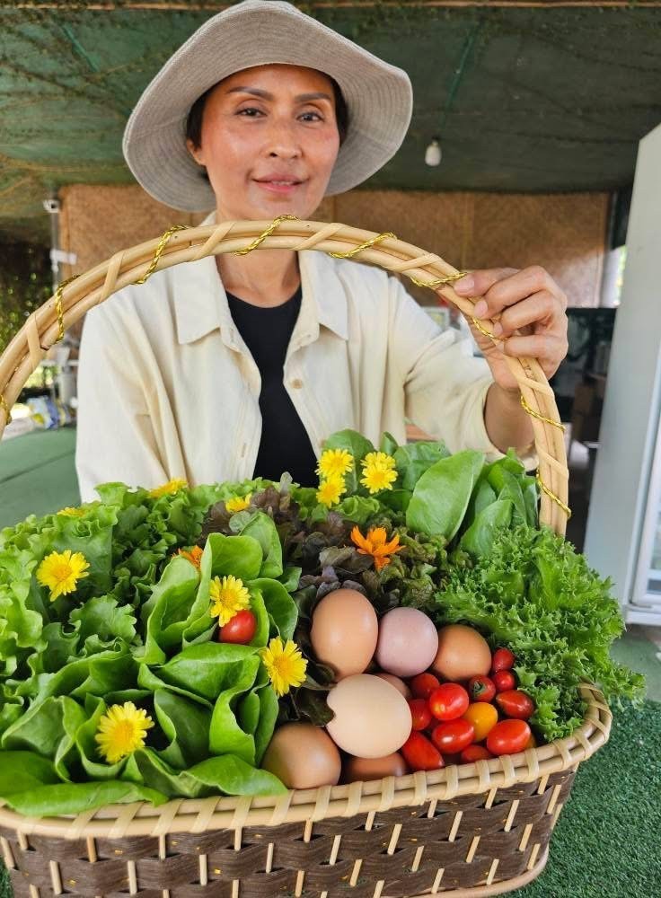 กรมวิชาการเกษตร ปลื้ม เกษตรกรอินทรีย์ดีเด่นแห่งชาติพลิกชีวิตจากสลัดกระถางสู่อาณาจักร “ฟาร์มผักอินทรีย์” 7 005