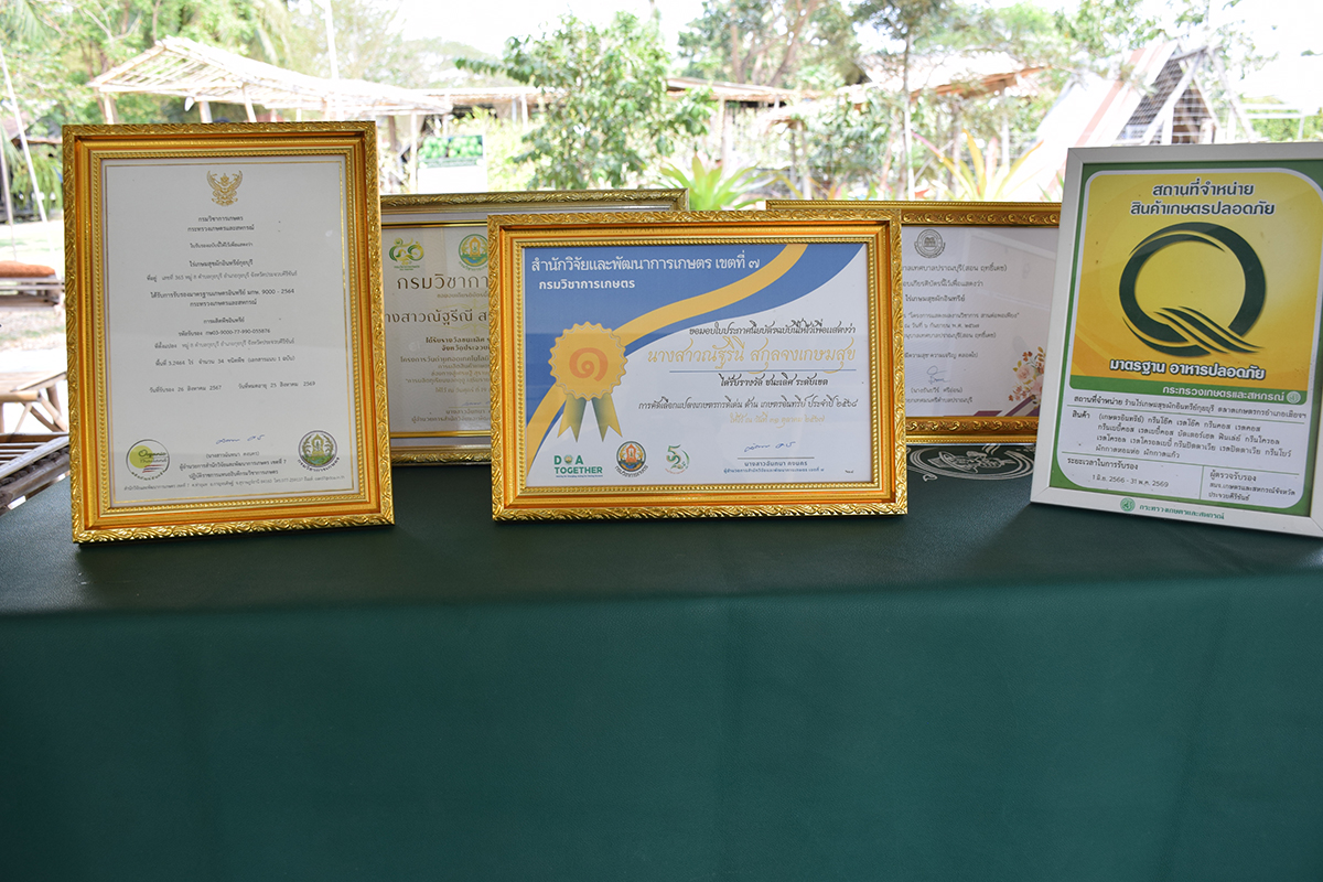 กรมวิชาการเกษตร ปลื้ม เกษตรกรอินทรีย์ดีเด่นแห่งชาติพลิกชีวิตจากสลัดกระถางสู่อาณาจักร “ฟาร์มผักอินทรีย์” 10 008